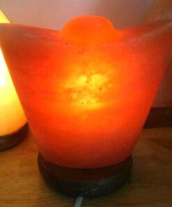 Đèn Đá Muối Himalaya Thỏi Vàng