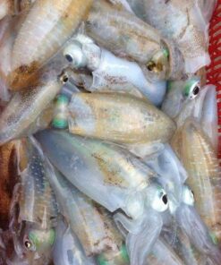Mực Lá Tươi Phú Yên