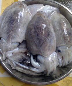 Mực Nang Loại 2 (4 con/kg)