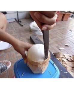 Alternative view of Dao Lấy Dừa Non Bằng Sừng Trâu Kiểu Thái Lan